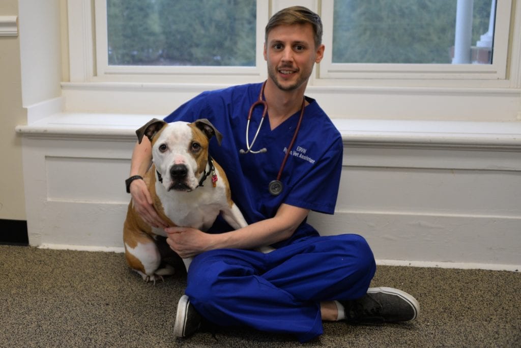 East Bradford Veterinary Hospital West Chester PA Our Practice